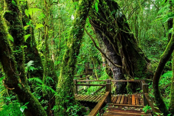 Ang Ka nature trail