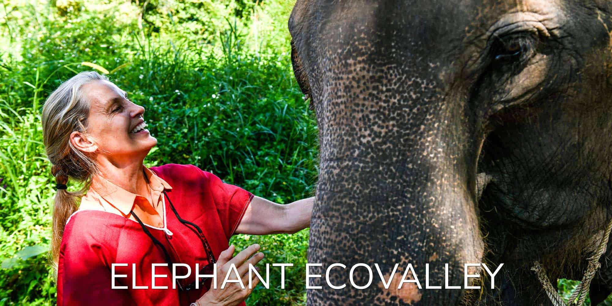 Elephant Eco Valley