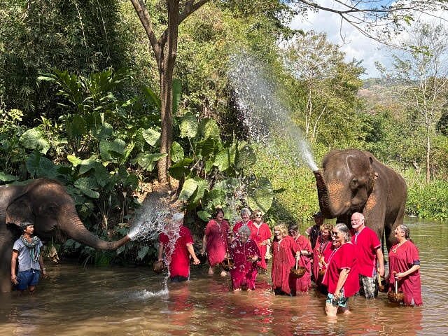Playing with elephants in water